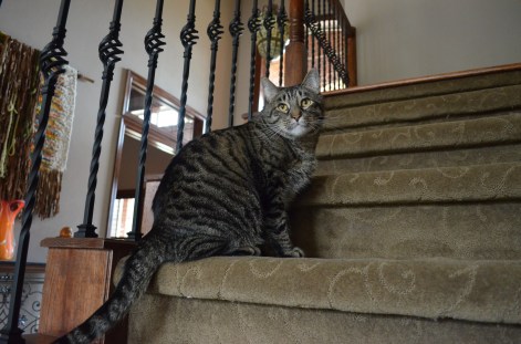 0e2988c4-9d16-4109-b0ce-acf9b65e34d1