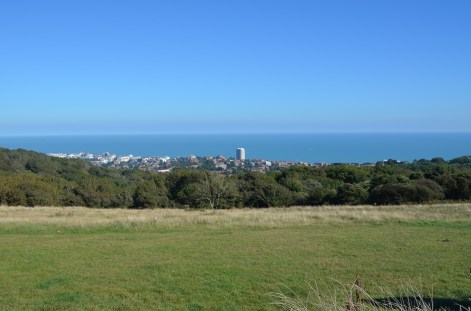 same view of Eastbourne copy