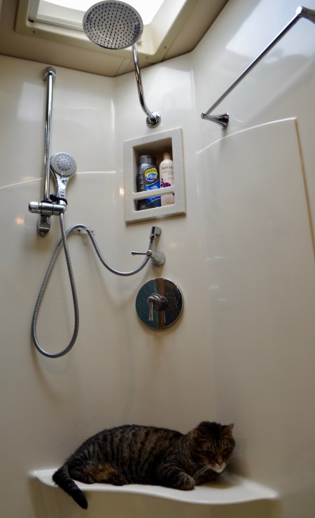 Archer in the shower