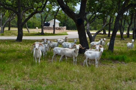 B2CA01B6-6212-4FC7-9592-F3FBEB7175F8_1_201_a