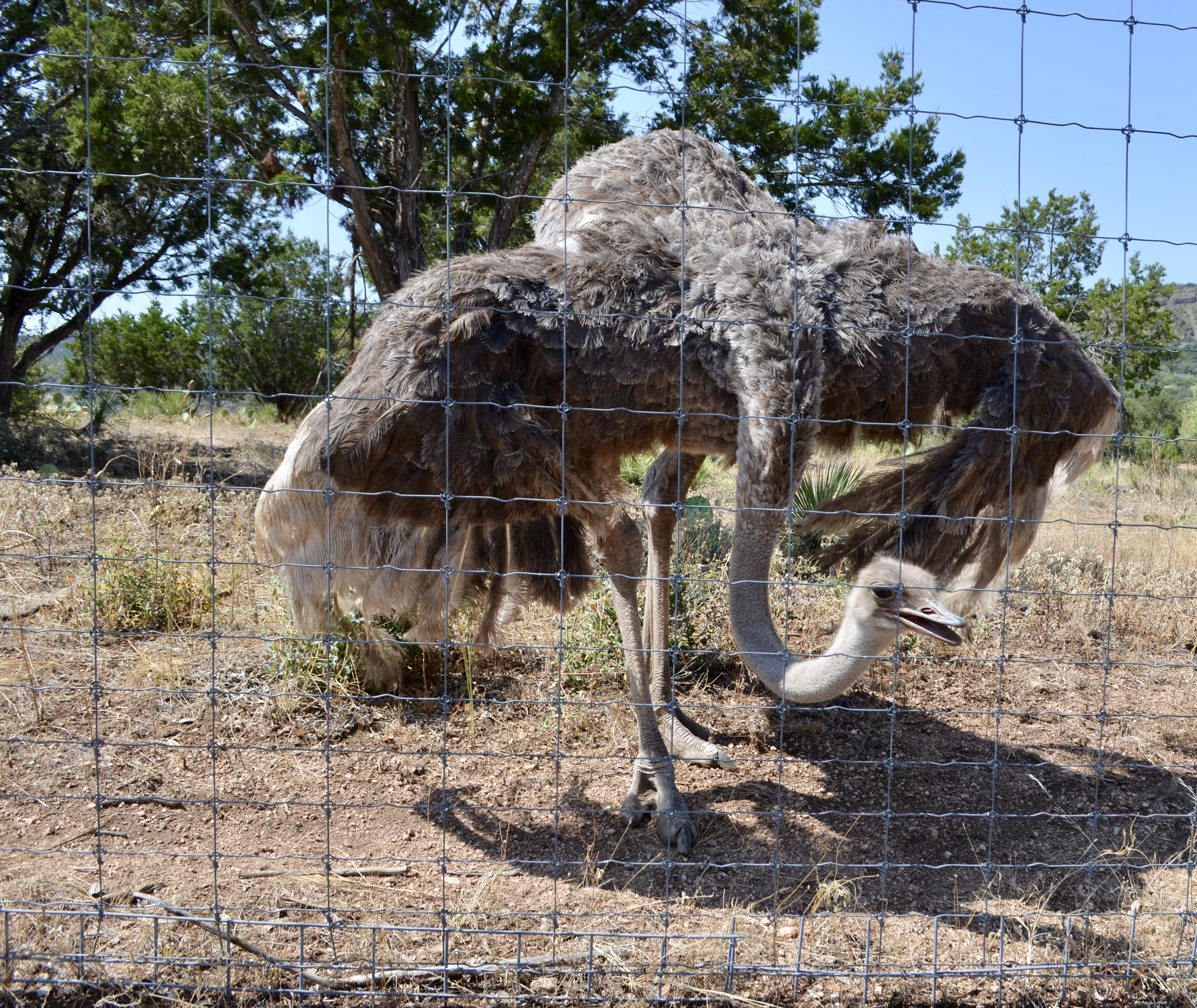 8ADE20ED-62C8-469A-A221-A0DB903BBDE5_1_201_a